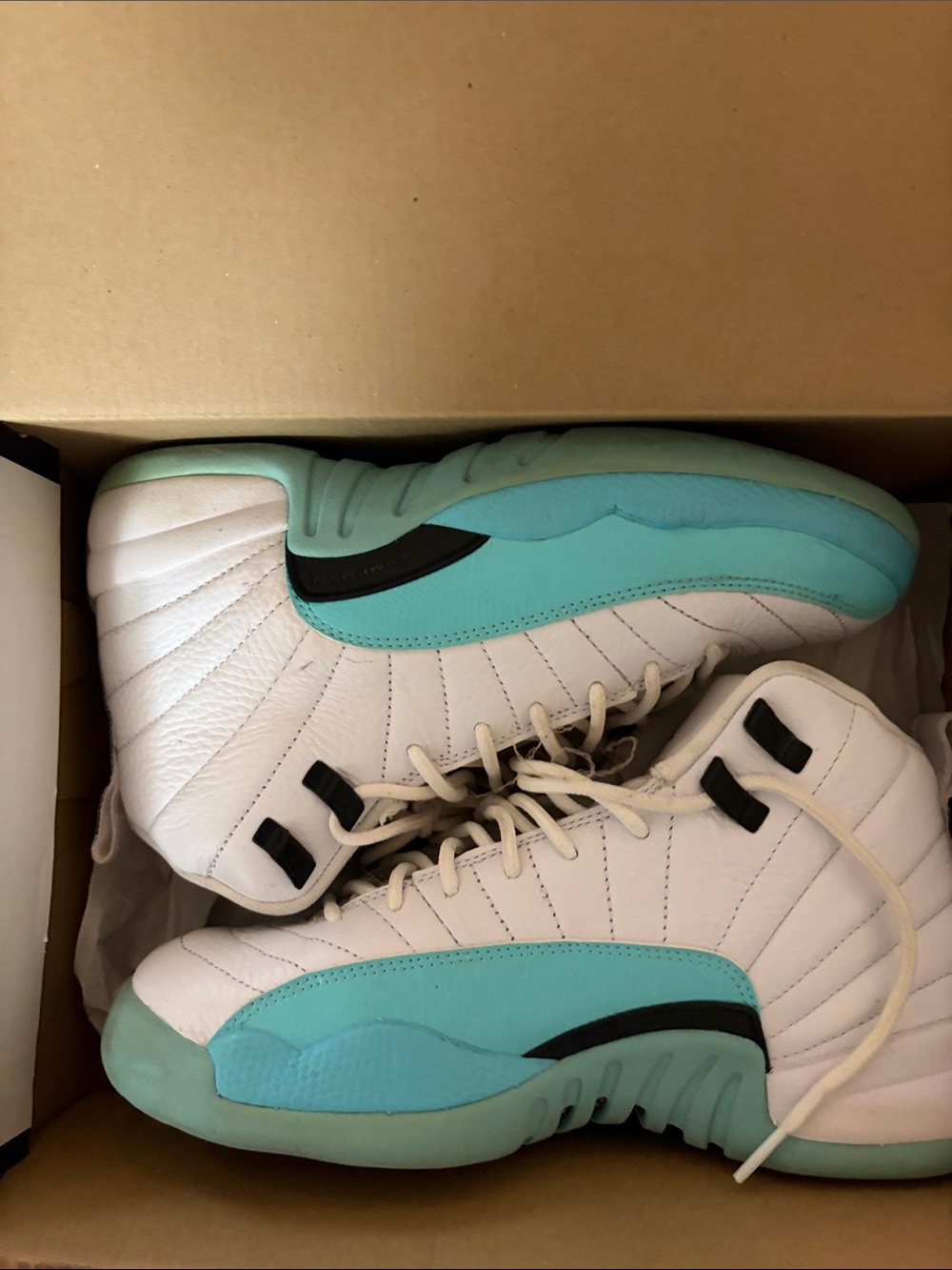 Kids Air Jordan 12 TETRO